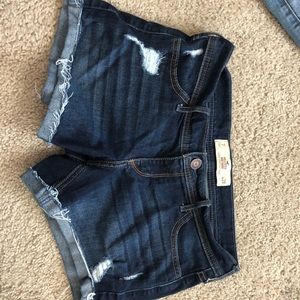 hollister shorts